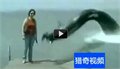 מפלצת ים בסין