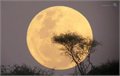 בערב 10.12.11 הירח יזרח בשיא הליקוי