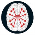מדעי המוח – גבולות התבונה