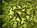 What is a probiotic?